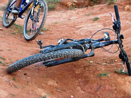 Cutículas Marshall (24)