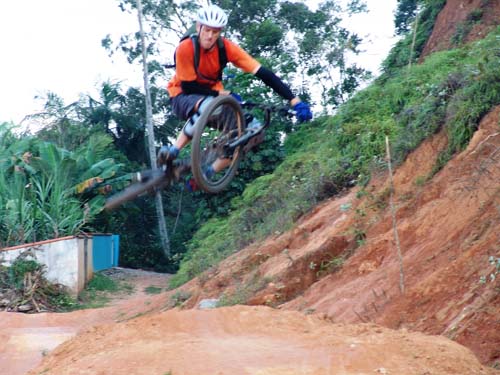 Cutículas Marshall (6)